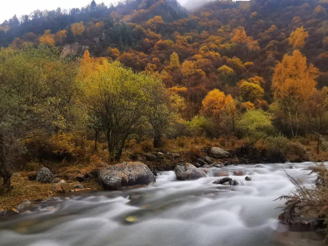 【旅游快递】青海互助北山秋景,看不够!