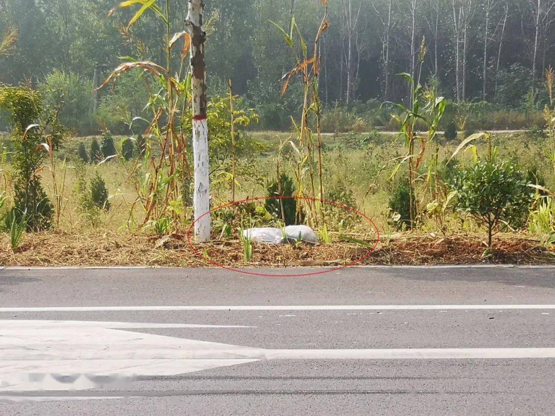 邵阳县五丰铺马草村现有人口_邵阳县塘渡口龙井村(2)