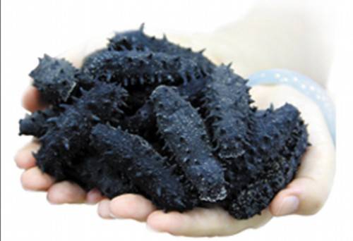 中老年人|海参消费主体是中老年人和体弱者