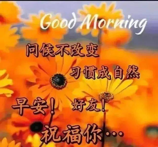 早上好蝴蝶非常漂亮图片,早安!唯美漂亮的早上好图片