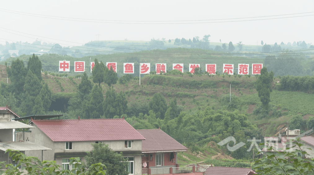 别样致富路资中县金紫铺村这样走向小康