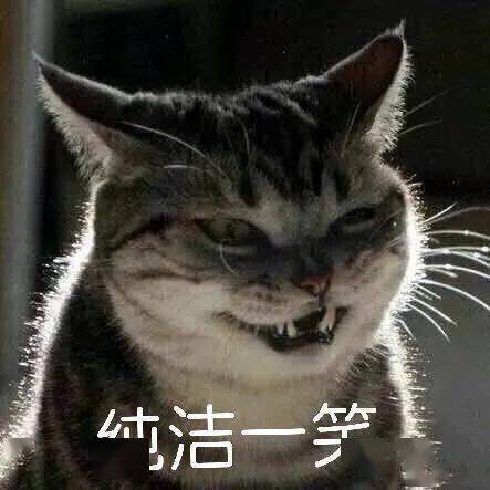 2fd7a9ca5a1b4446b3658c202b0ab83c.jpeg