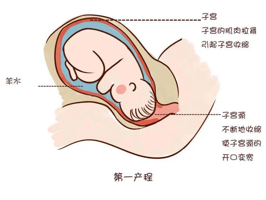 最全的解析在这里!