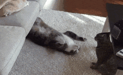 Hacker|这样做比洗还干净！沙发脏了不用拆不用洗