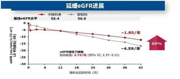 独立性|肾脏获益具有独立性，被誉为肾脏病领域的「神药」——卡格列净