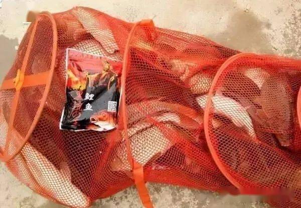 鱼钩|露出钩尖、鱼就不吃饵？