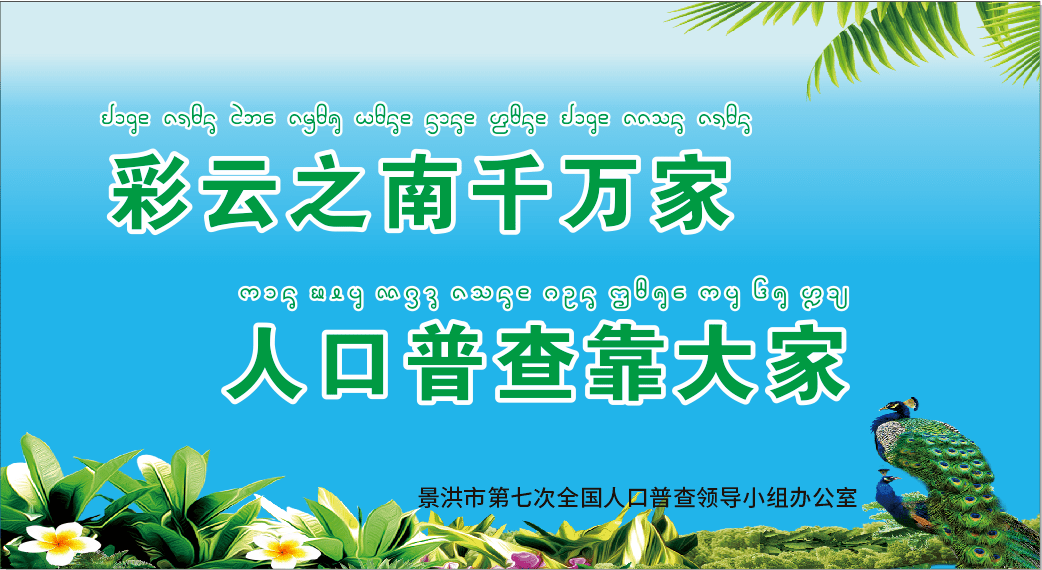 第七次人口普查微视频_第七次人口普查图片