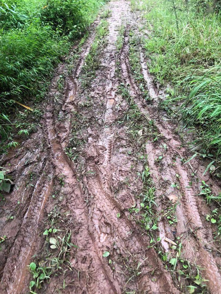 行路难富顺这些道路泥泞不堪附近的人苦不堪言