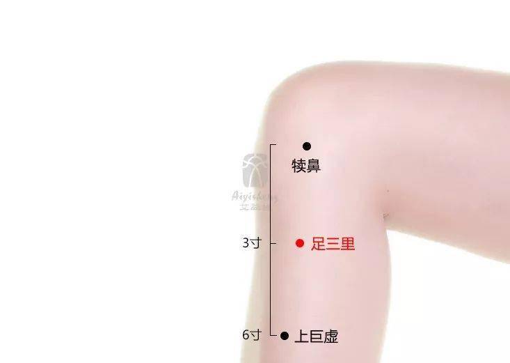 阴陵泉穴在小腿内侧,当胫骨内侧髁后下方凹陷处.