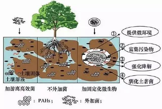 辛寨人口_临朐辛寨医院