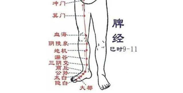 人体的肝,胆,脾,胃,肾,膀胱六条经络都在腿部运行.