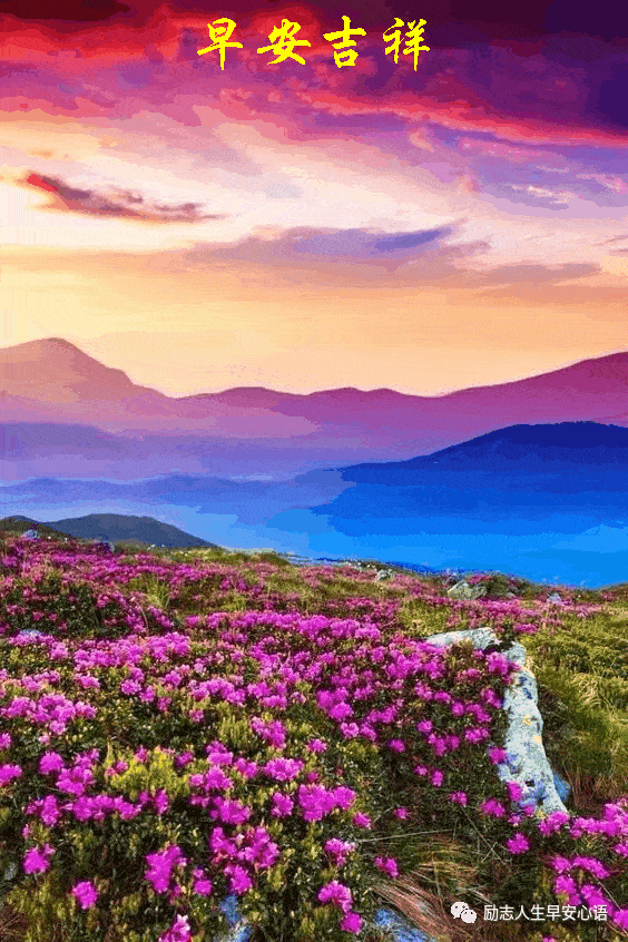 564_846 竖版 竖屏