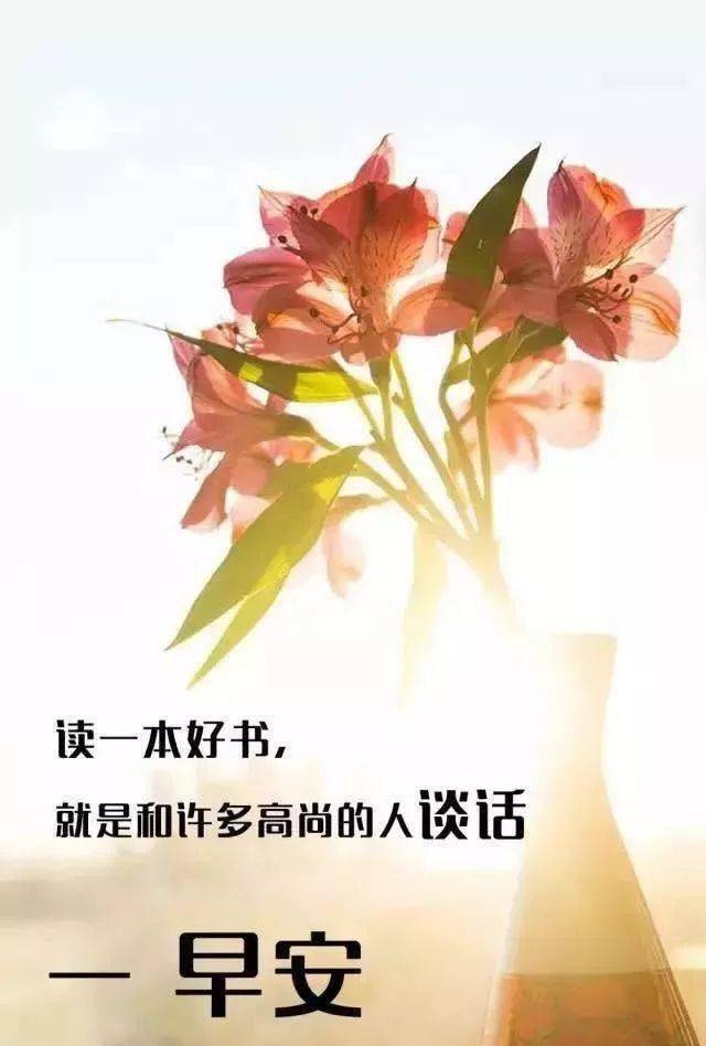 清晨问候大家的暖心祝福句子,优美的早安祝福表情图片