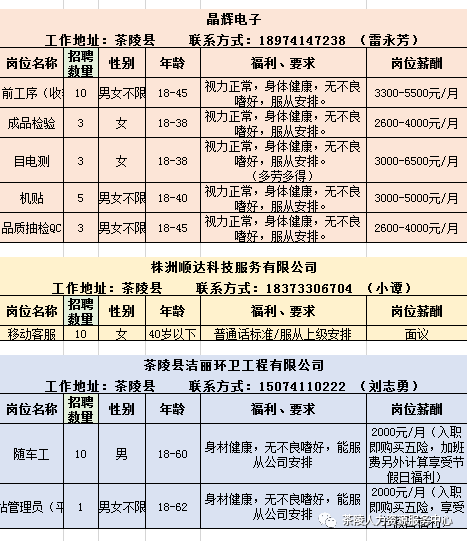 茶陵招聘_茶陵最新48家单位招聘信息汇总 最近10天(3)