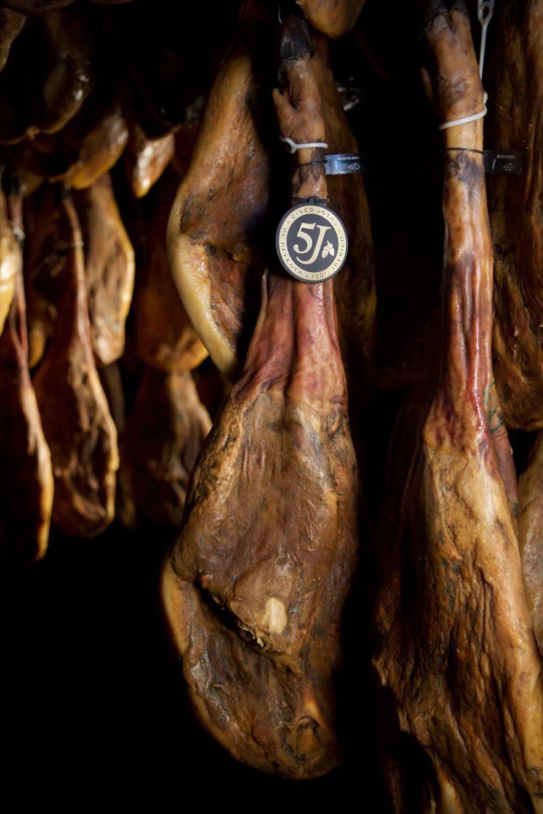 展会|深圳名媛聚会，内部价168！