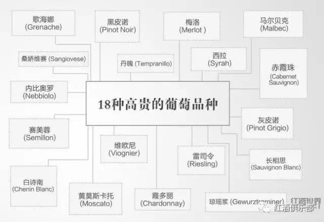 品种|18种高贵葡萄的PK赛