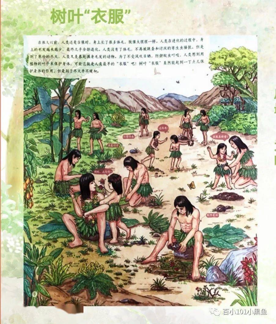姚想妈妈从远古时代的猿人开始了今天的故事,那个时候我们的祖先靠