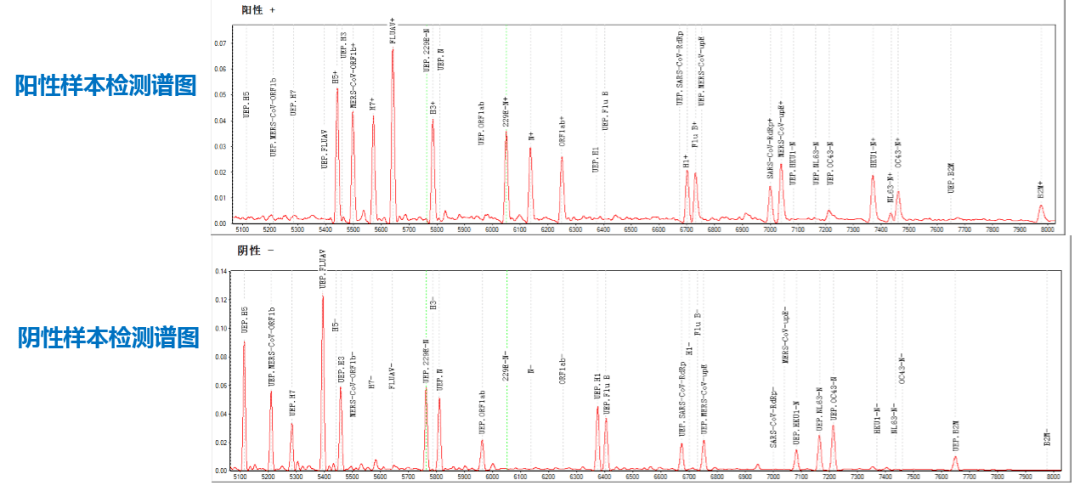 全球创新—微生物质谱&核酸质谱