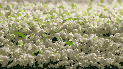 Kidston|刘涛戴400万珠宝、5年还3亿买豪宅，却被嘲不配、手糙得像砂纸？