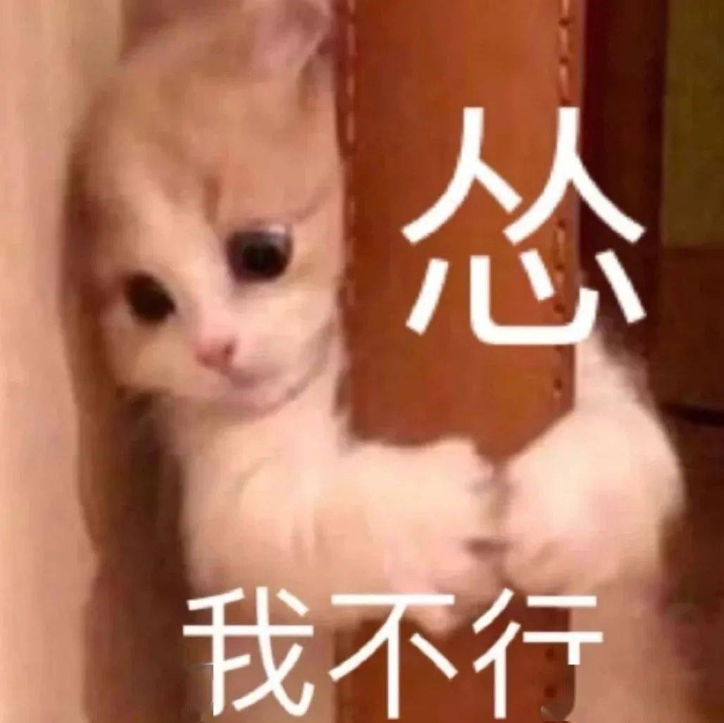 666d1564214c4d6493ead9b28098c662.jpeg