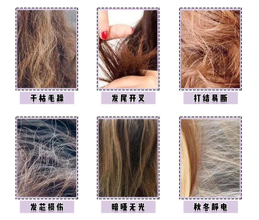 怎么护理头发不干燥又顺滑 8feda6a1c14649b4bd3948e5926fc1c4.jpeg