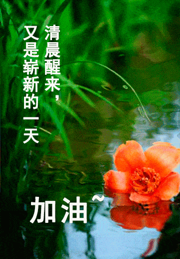 10月14日周三清晨早上好问候祝福动态表情图片 10月最新早安问候祝福