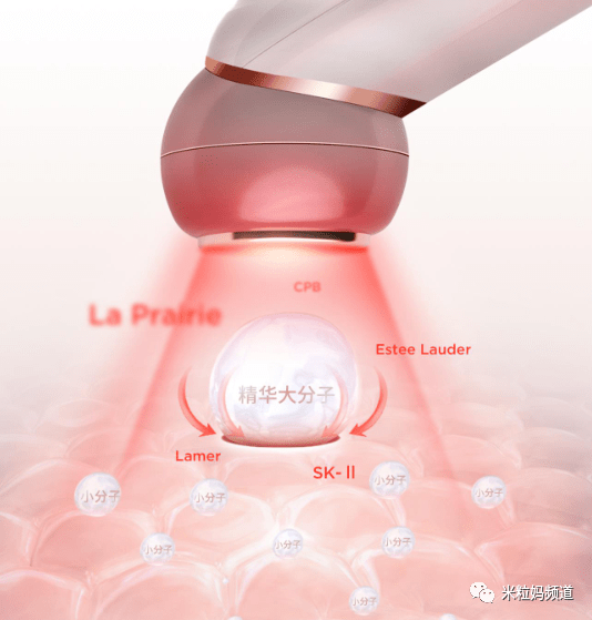 美容|看完《浪姐》，谁不羡慕张雨绮的美貌？！