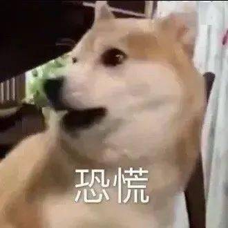 d32ac07b53684d36b655ba2d698235fc.jpeg