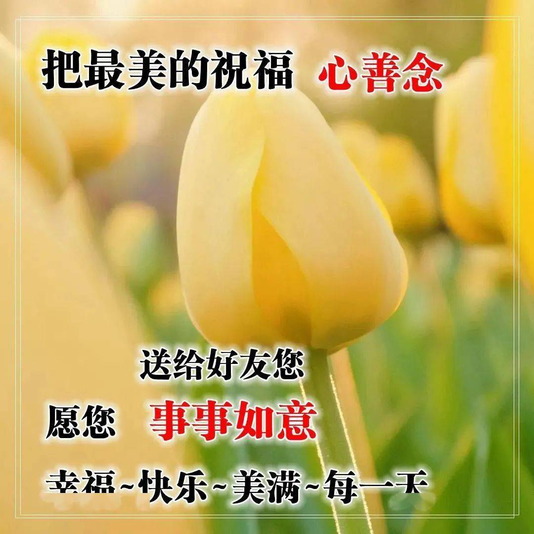 周日最新早安问候祝福图片带字温馨_阳光_短信_生活