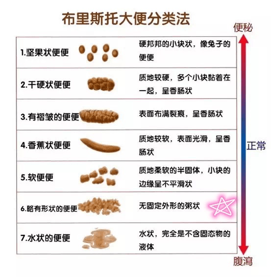 大便的颜色