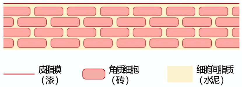 屏障|?孟美岐生图泄密!真实素颜也美炸是怎么做到的?
