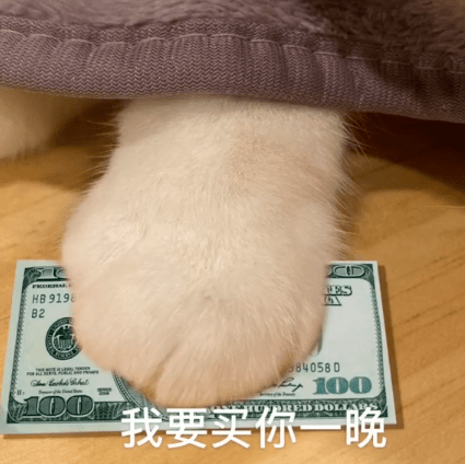 拖地猫表情包:醒醒,上号了!
