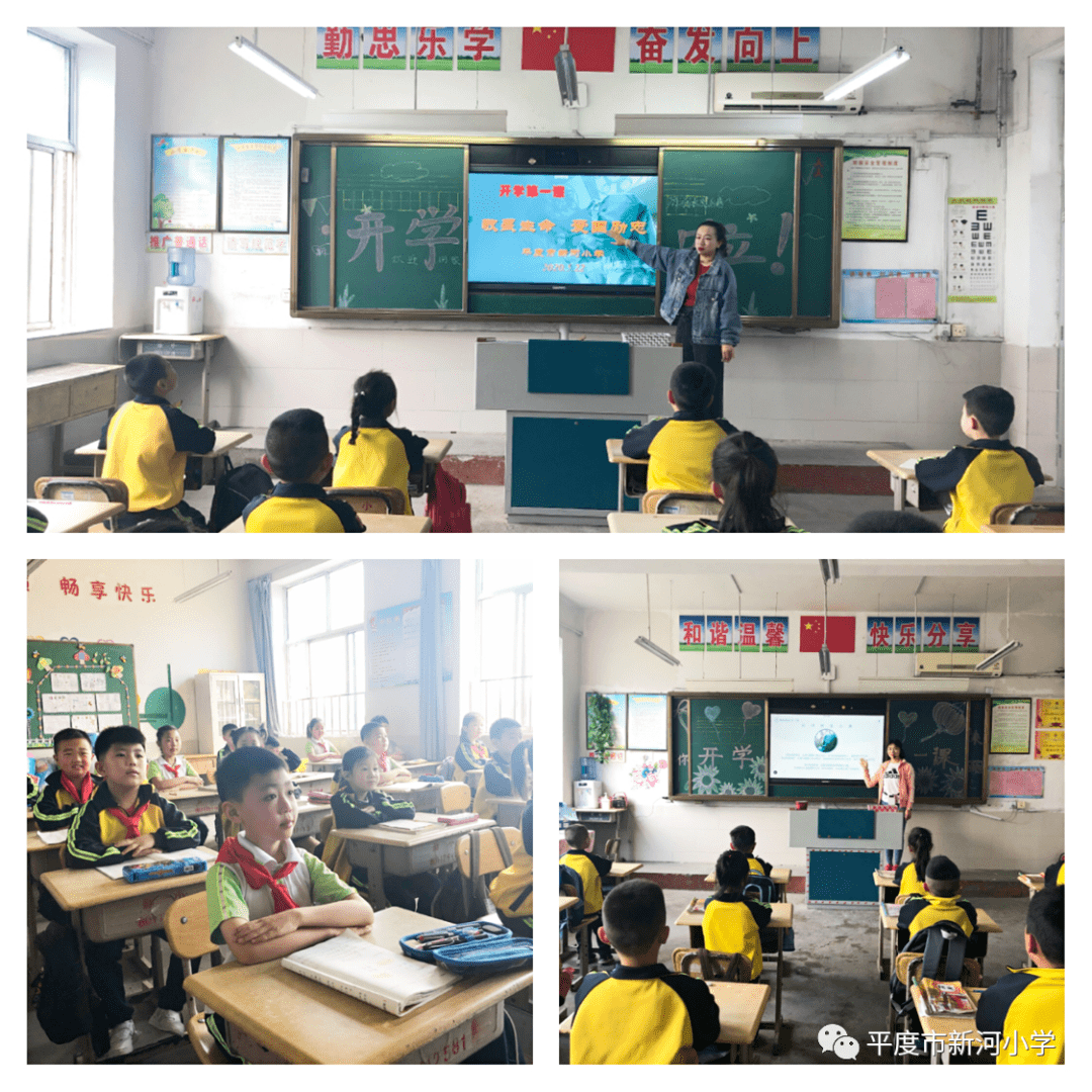 办好老百姓家门口的每一所学校——平度市新河小学