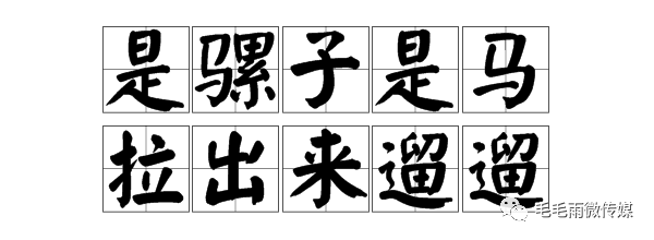 骡子好,还是马好?拉出来溜溜就知道了