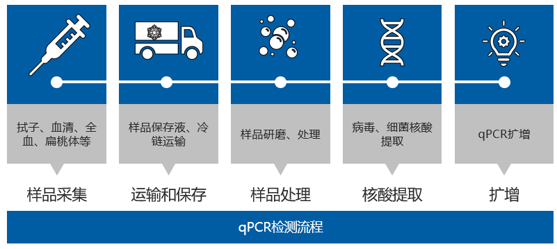 听课笔记会前论坛猪病诊断论坛海林格生物赞助