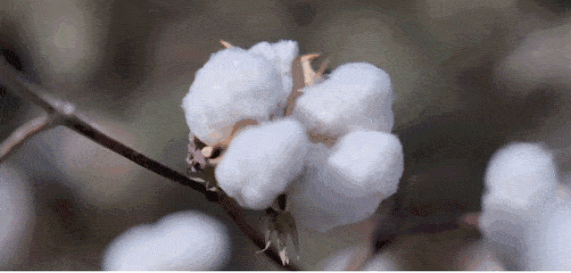 女人|女人就要对自己好一点。