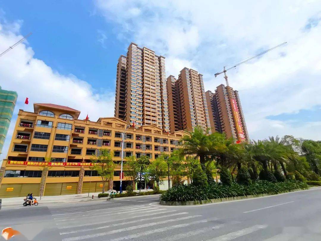 你发现没浦北金浦新区已变靓到快认不出了多图