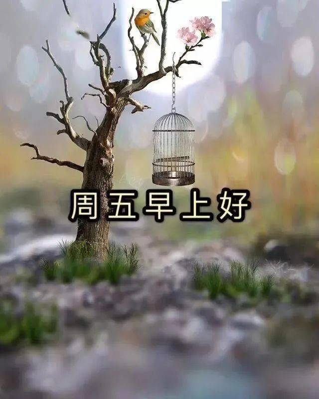 周五清晨早上好问候祝福动态表情图片 10月最新早安问候祝福图片带字