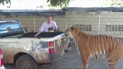 939863f327314171b5a103c80f59bef5.gif