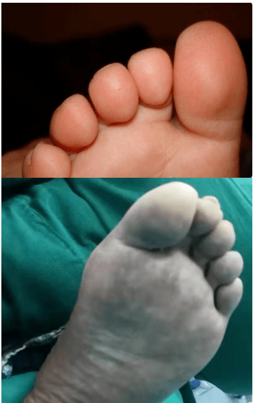 eadd4f2ec972415e91a53ba05048057f.png