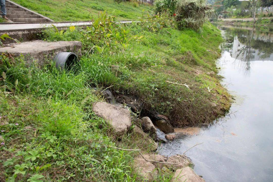 大足区出台五年农村生活污水治理专项规划六成以上农户将受益