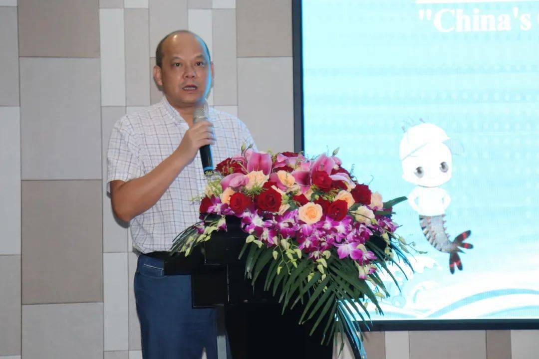 2020珠海平沙镇gdp_珠海斗门井岸镇街边女(2)