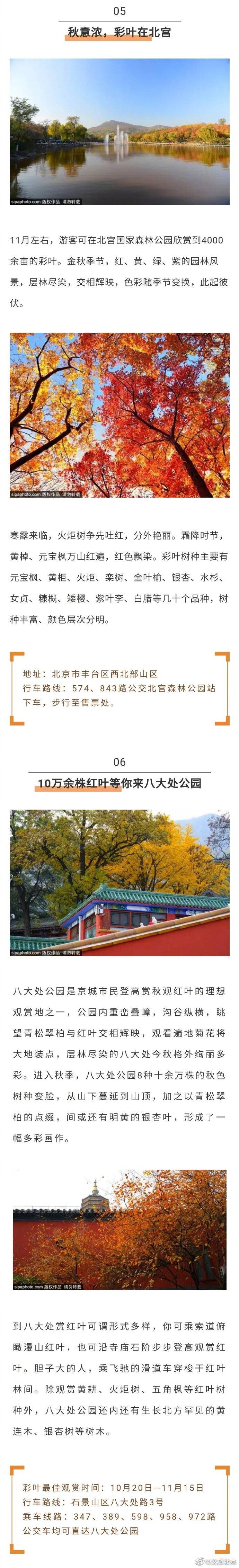 叶指南|2020北京秋季赏叶指南！