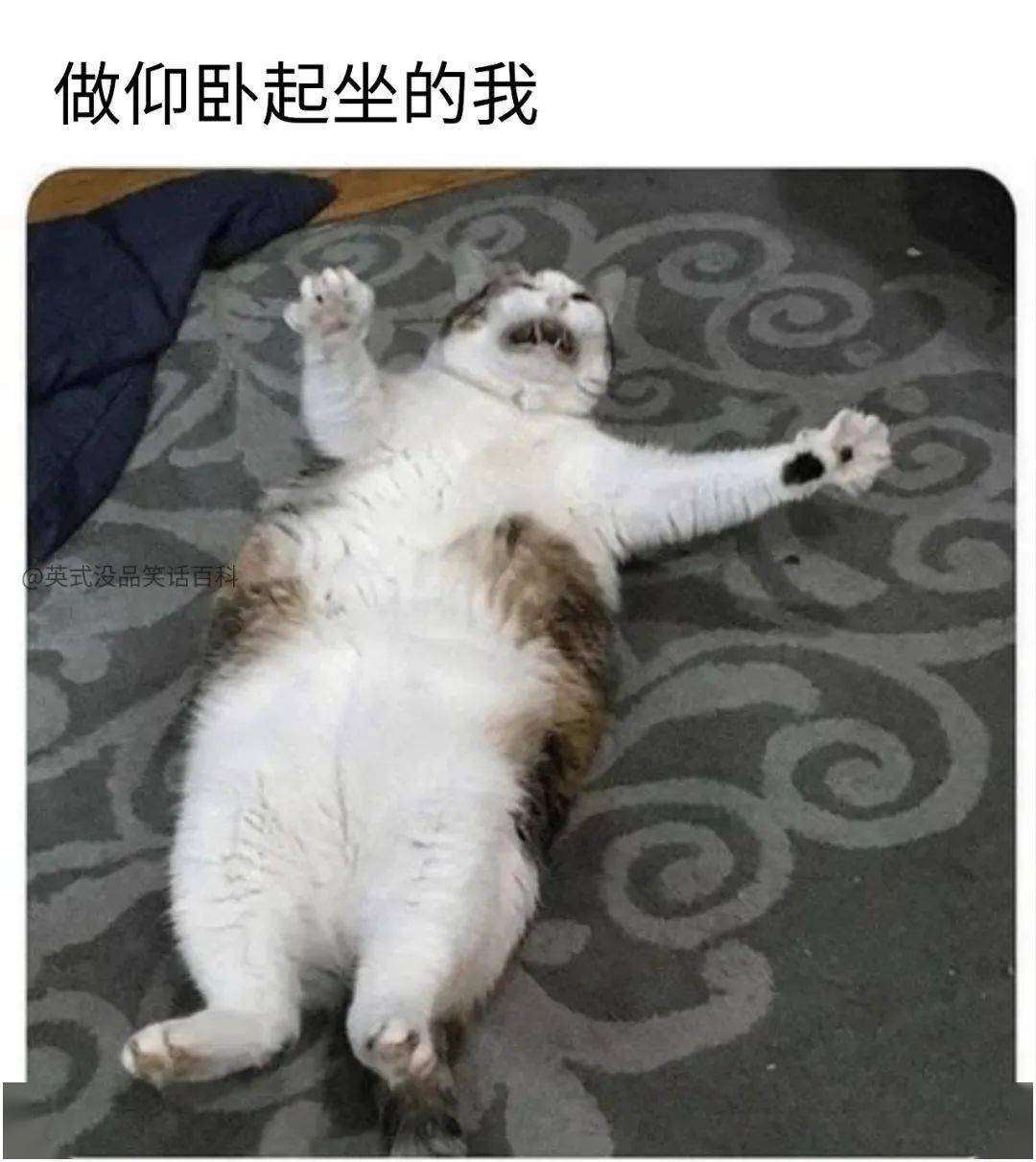 a5d08b12da354d0eaf8feb7cc35b81a0.jpeg