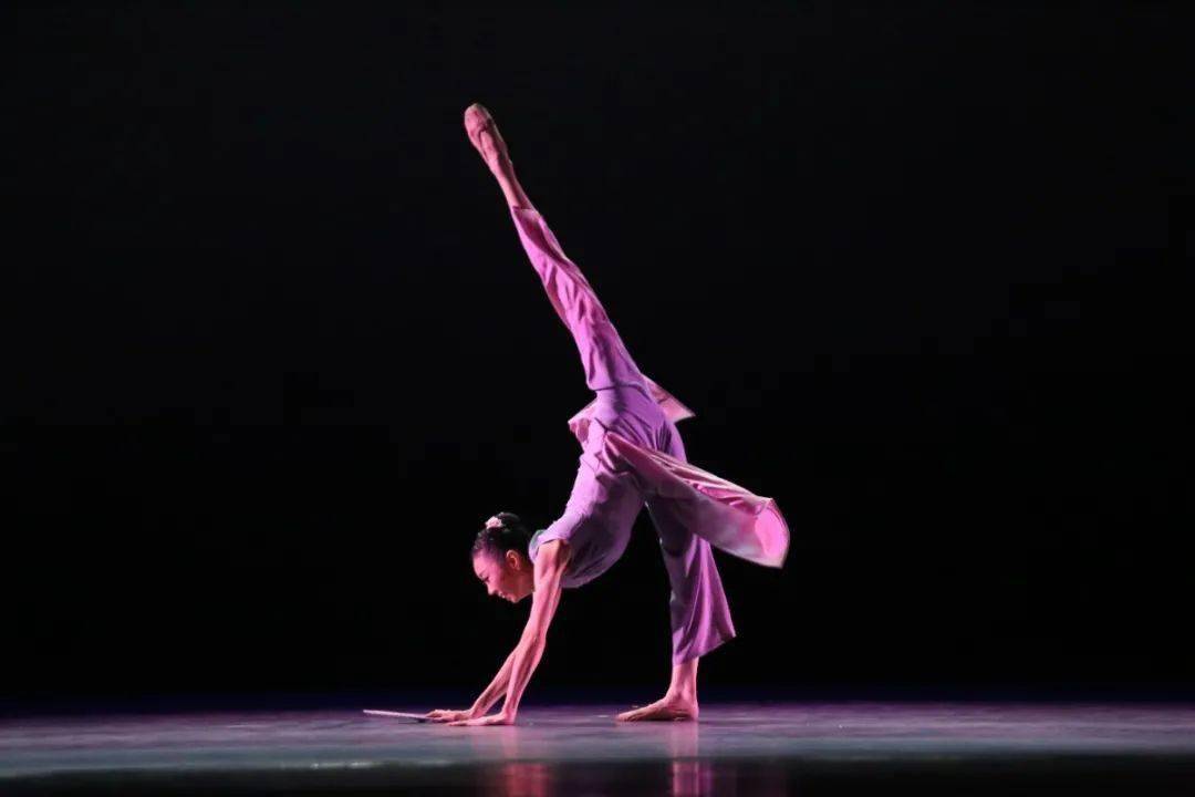 【话洛阳】第十二届中国舞蹈"荷花奖"古典舞评奖圆满落幕