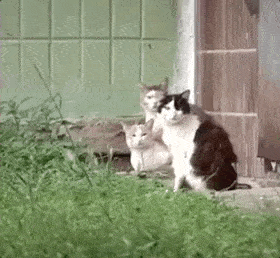 Lancel|壹周潮话题 | 一周看了三场珠宝展，今年又买不成保时捷了！（狗头）