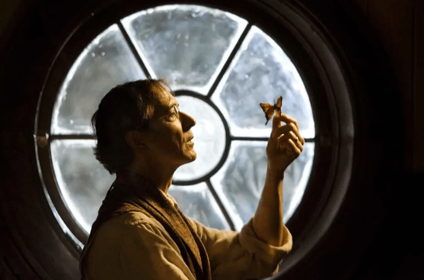 人类|“妖精”传统到底是从何时出现的呢?