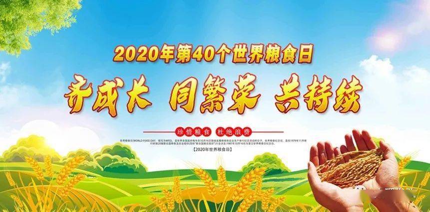 共筑全球粮安"——大理市2020年世界粮食日和全国粮食安全宣传周活动