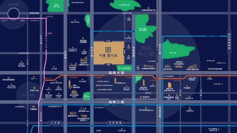 2019年武汉各区经济总量_武汉各区地图范围图