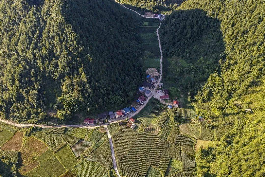 昔日深度贫困村变幸福村万源市这个村如何实现蝶变